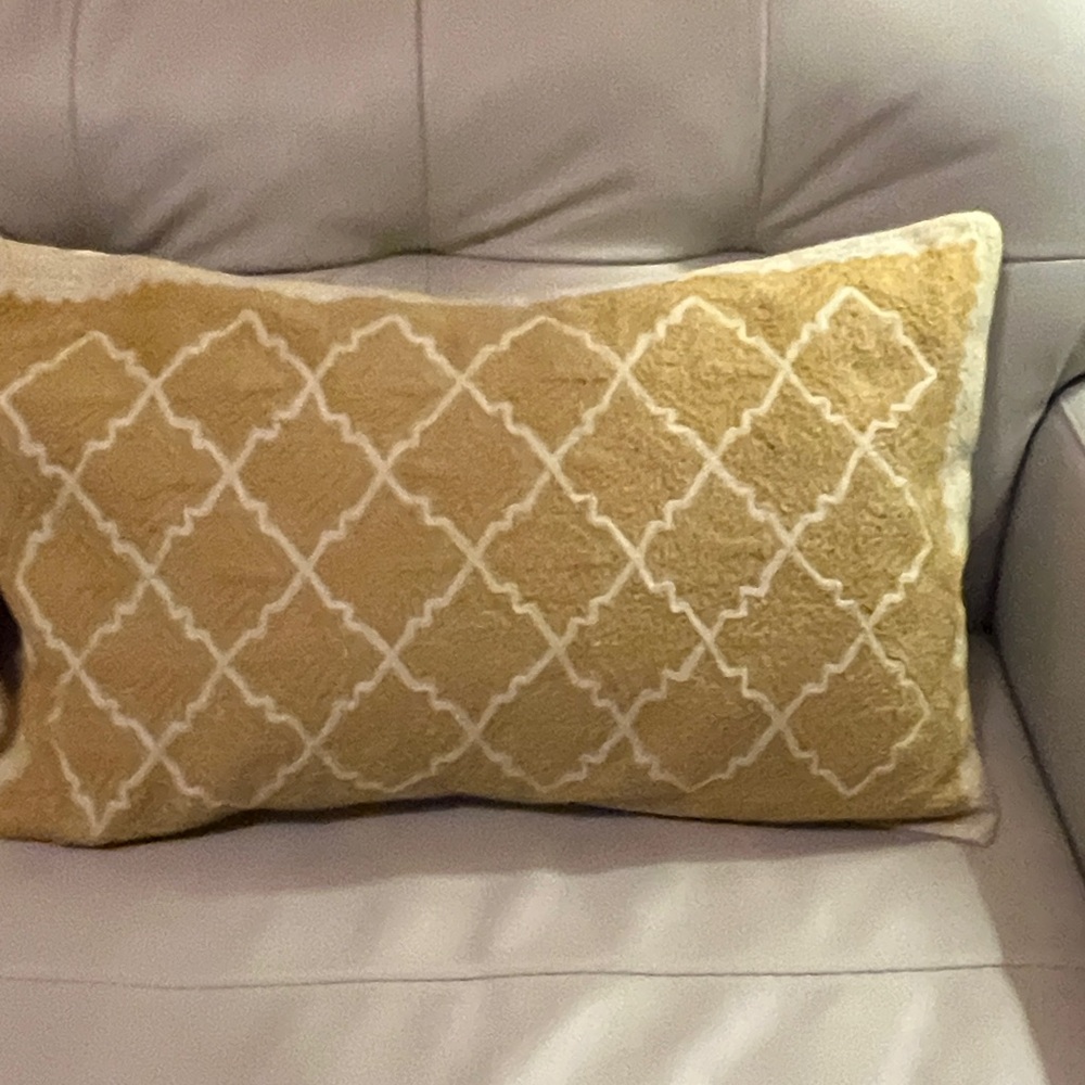 Pottery Barn Embroidered Lumbar Pillows-2
